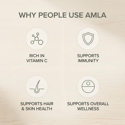 Elpure Amla Powder 100g - 100% Pure & Natural Edible Grade for Hair Growth, Immunity & Daily Health