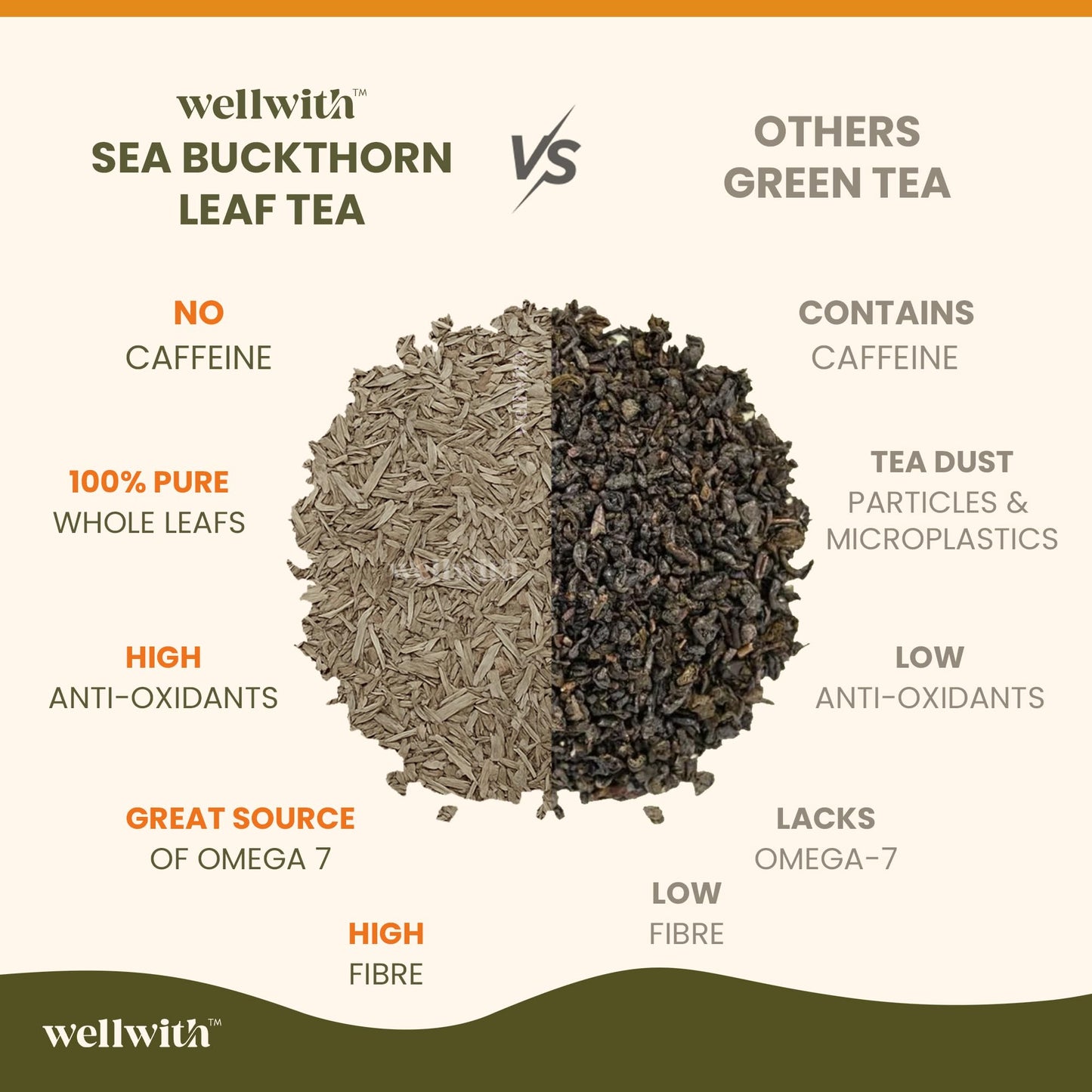 Wellwith by Ayuzera Sea Buckthorn Raw Leaves Tea, Good For Skin and Immunity, For a Healthy Lifestyle - Himalayan Seabuckthorn Herbal Leaf Tea - Pure & Natural (50g)