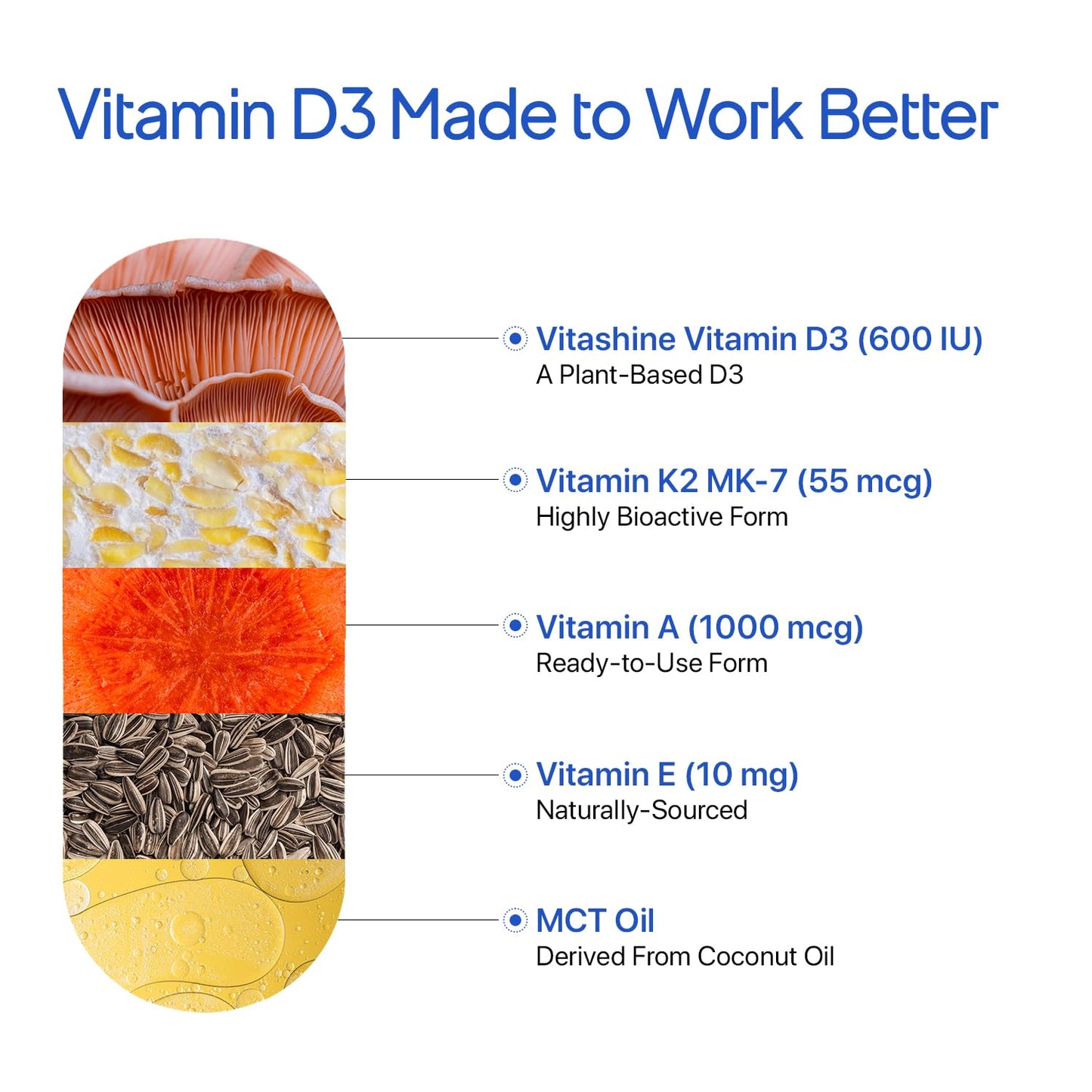 Decode Age DAKE 600 IU Multivitamin | Plant-Based Lichen D3, K2 (MK-7), A & E | Supports Bone, Vision, Immunity & Skin Health | With MCT Oil for Enhanced Absorption | (1, 30 Capsules)