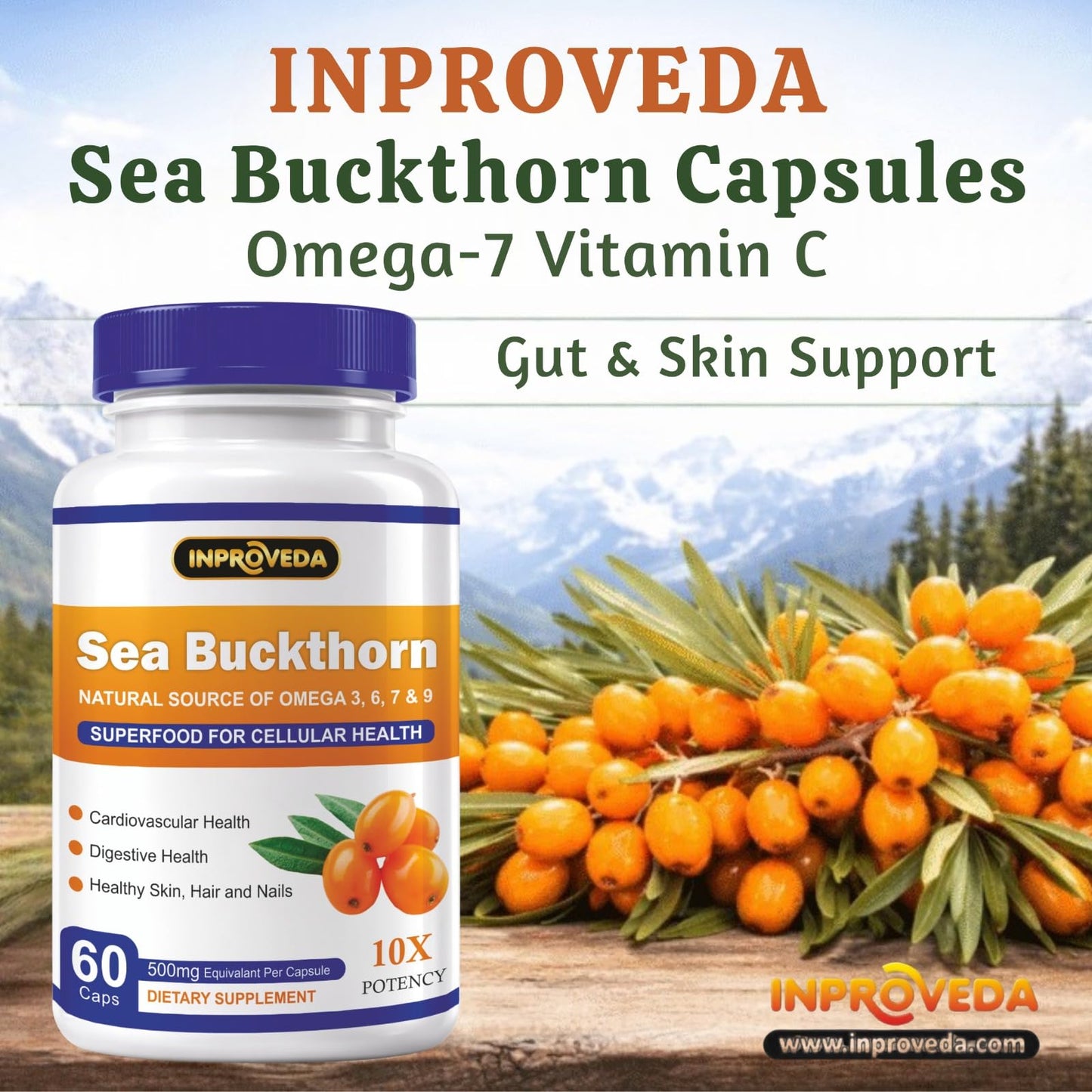 Sea Buckthorn 500mg Capsules for Daily Wellness & Skin Nutrition | Natural Herbal Supplement for Active Lifestyle & Overall Health Support | 60Capsules