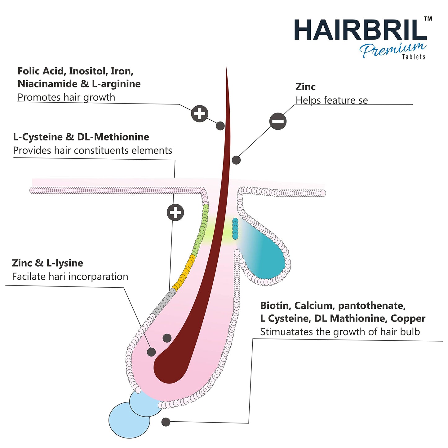 HAIRBRIL Healthy Hair Supplement 30 Tablets (Pack Of 3), 0.07 Kilograms