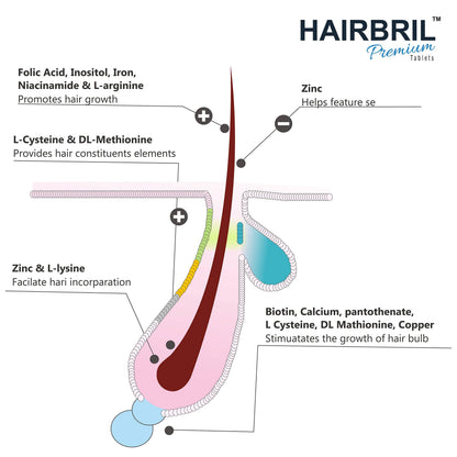 HAIRBRIL Healthy Hair Supplement 30 Tablets (Pack Of 3), 0.07 Kilograms