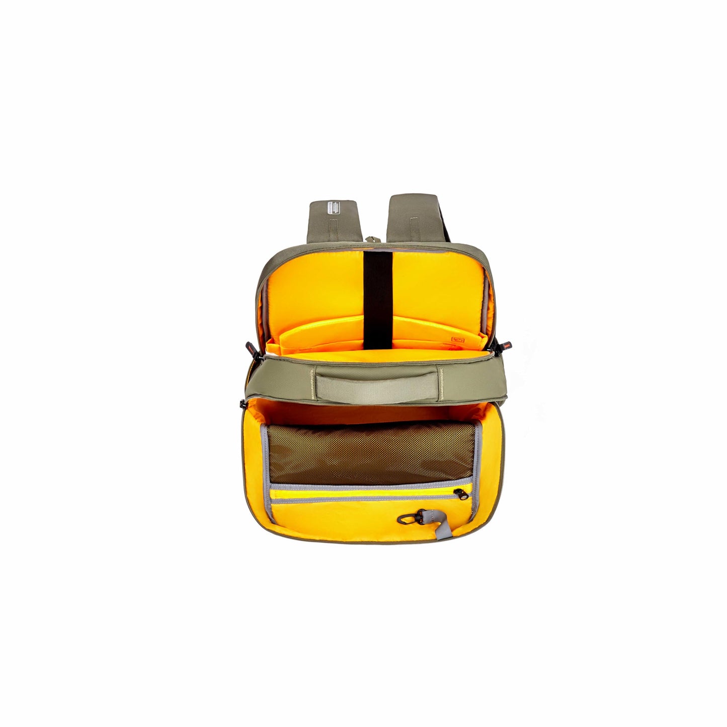 American Tourister Zork Edge | 24.5 Ltrs | 2 Compartments | Bottle Pocket | Ergonomic Padded Back Panel & Shoulder Straps | Executive Backpack | 1 Year International Warranty | Green