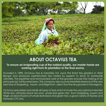 Octavius Darjeeling Autumn Flush Whole Leaf Black Tea | Well Balanced, Smooth, Sweet, Fruity, Floral Brew | Also Robust & Full Bodied | 100 GMS (50 Cups)