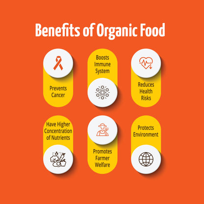 Pro Nature 100% Organic Fenugreek Seeds - 200g | Whole Natural Sabut Methi Dana | Chemical-Free & Unpolished | Ideal for Cooking & Health Benefits