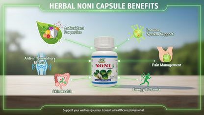 NAVEENYA KAYA HEALTHCARE Noni Capsule Herbal Supplement with Pure Noni Fruit Extract, Ocimum Tenuiflorum, Garcinia Indica, and Centella Asiatica