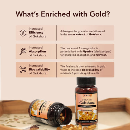 Sukham Gokshura/Tribulus Capsules | Processed using TTT-120 | 500 mg - 60 Capsules | Benefits include Better Strength, Stamina & Recovery | Ideal for Gym and Athletes