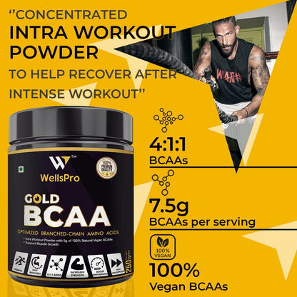Wellspro Gold BCAA Supplement Powder 250G, Gold Ratio 4:1:1, Intra Workout Supplement for Muscle Growth & Faster Recovery, Keto Friendly, Caffeine Free (Mix Berry Flavor)