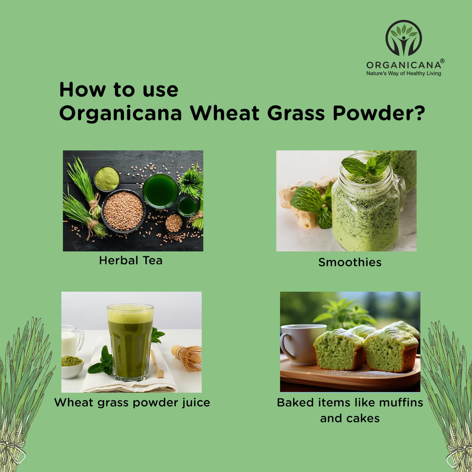 Organicana Organic Wheatgrass Powder - 100g (Pack of 1) Supports Immuni- image 4