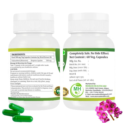 Morsan healthcare Pashanbhed Capsules | Ayurvedic Herbal Formula with Bergenia ligulata | Plant-Based Supplement | Vegan | 60 Veg Capsules | Traditional Botanical Ingredient | pack of 2