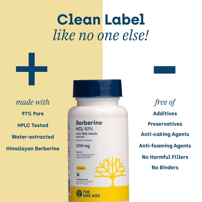 Premium Berberine Supplement with Milk Thistle – 97% Pure Berberine HCL from Himalayas – 3rd Party Lab Verified – Supports Healthy Blood Sugar, Metabolism & PCOS Wellness – 1200mg Per Serving