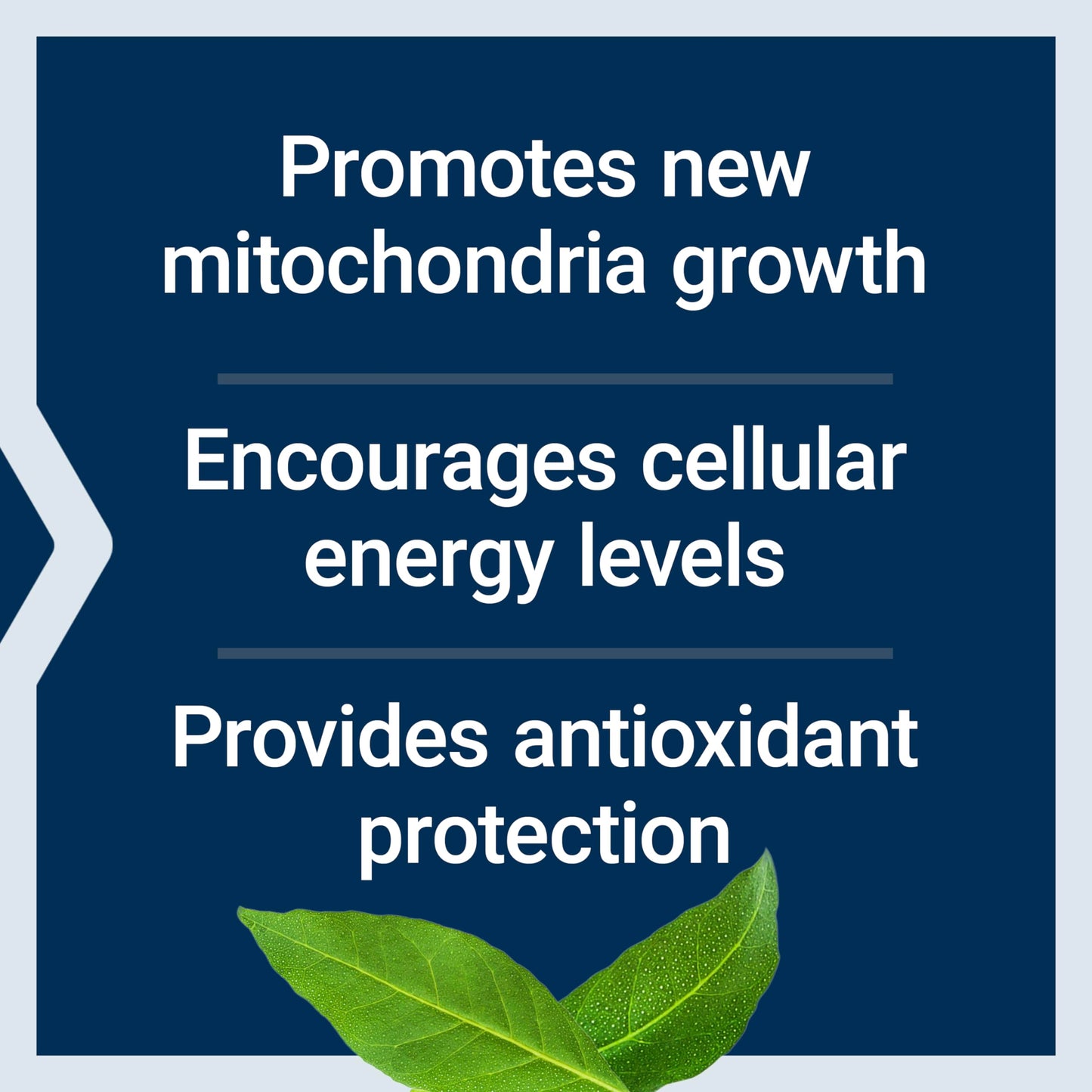 Life Extension Pqq Caps With Bio Pqq 20 Mg, 30 Vegetarian Caps Thank Yo- image 7