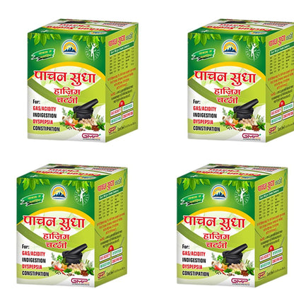 Parvat Healthcare Pachan Sudha Chatni 200gm – Ayurvedic Digestive Chutney for Healthy Digestion | Improves Over All Health & Body Wellness (Pack of 1)