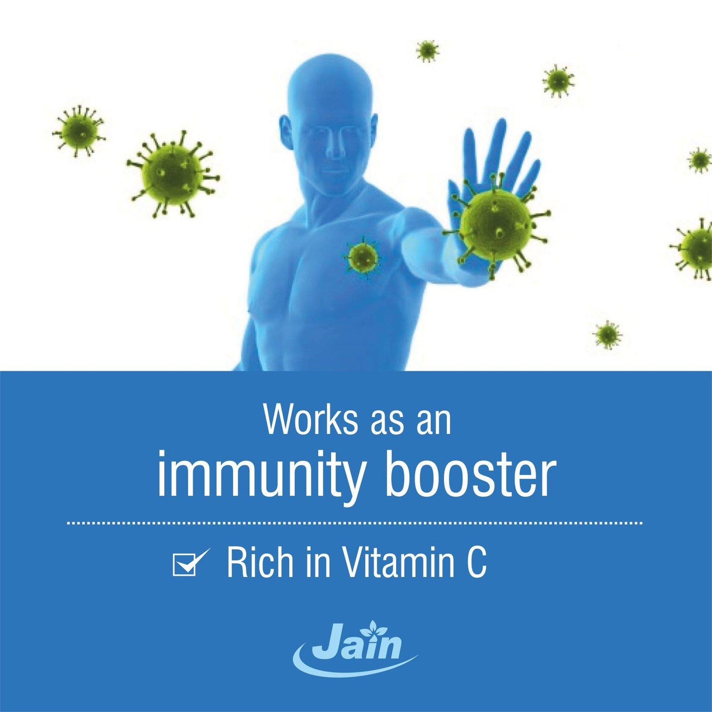 Jain Amla Powder 400g |100% Pure Phyllanthus Emblica Ayurvedic Herbal S- image 4