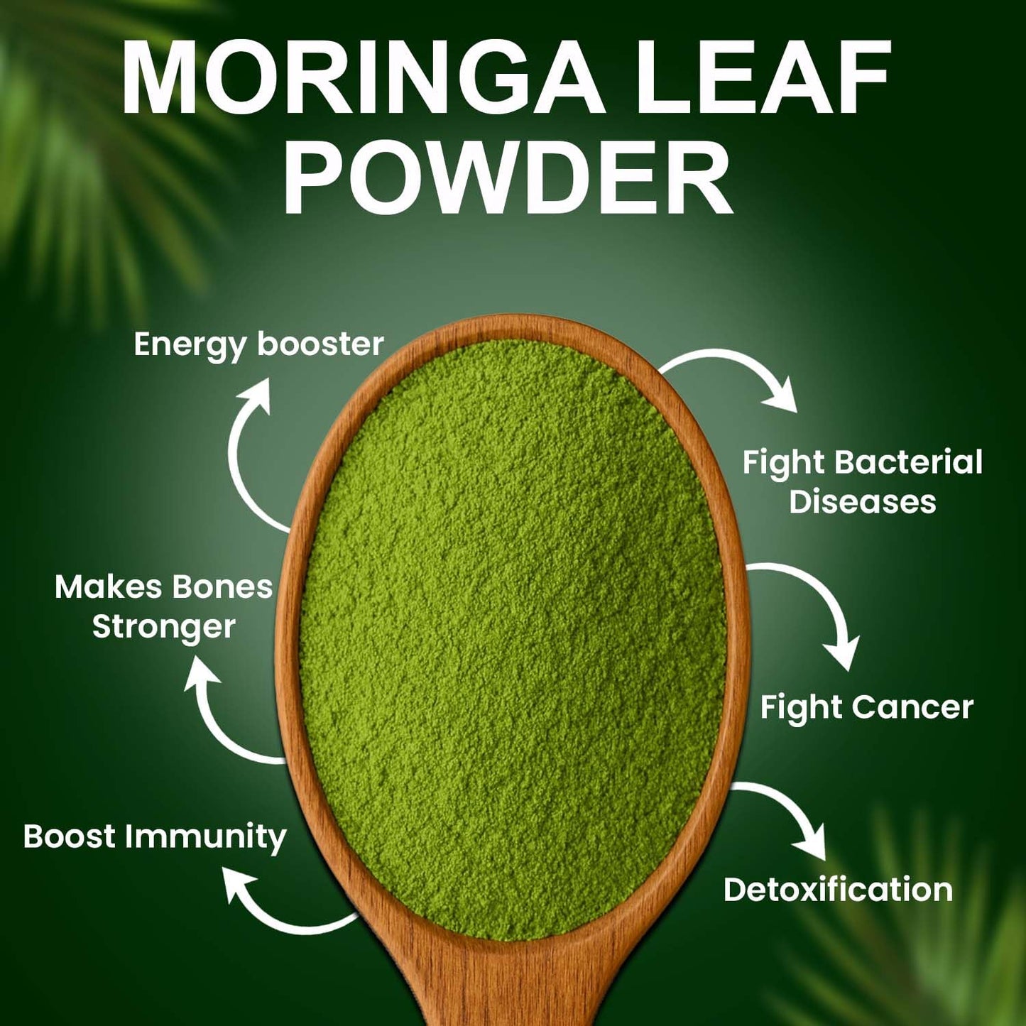 Turcy Moringa Leaf Powder 50g| Pure & Natural Organic | Essential Nutrition Superfood | Supports Energy, Stamina & Vitality | Rich in Vitamins & Minerals | Herbal Supplement for Wellness