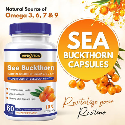 Sea Buckthorn 500mg Capsules for Daily Wellness & Skin Nutrition | Natural Herbal Supplement for Active Lifestyle & Overall Health Support | 60Capsules
