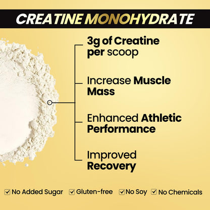 Vlado's Himalayan Organics Pure Micronised Creatine Monohydrate Powder I Pre/Post Workout Supplement, Instant Energy for Athletic Performance I Faster Muscle Building & Recovery I Certified I Max Absorption I Gain Lean Muscle, More Strength, and Faster Wo