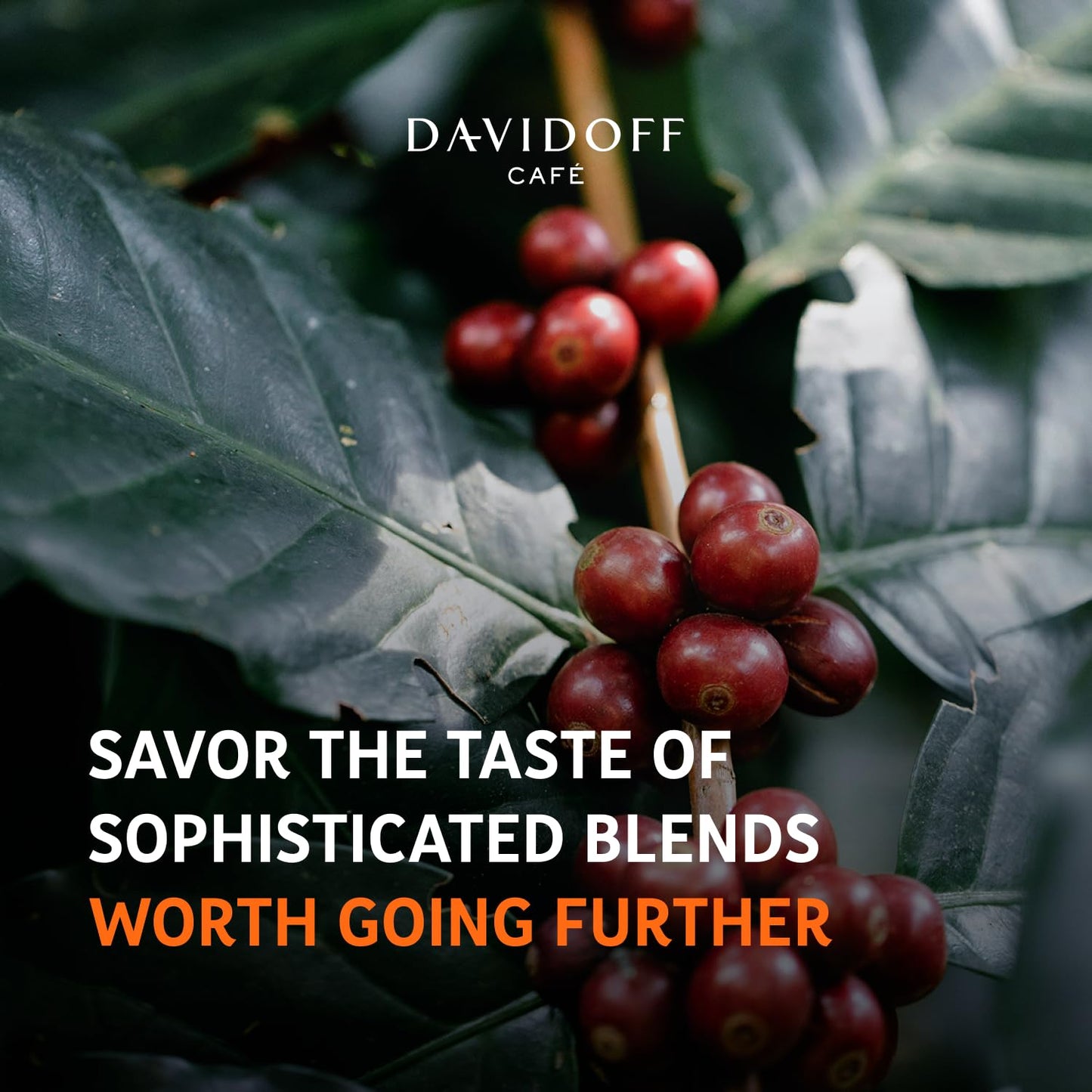 Davidoff Fine Aroma Instant Coffee Arabica 7/12 Intensity, 3.53 oz ? 100 g, Bottle