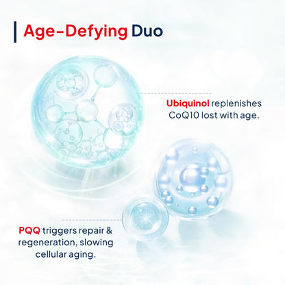 Miduty Active CoQ10 Ubiquinol 100mg with PQQ - Kaneka Ubiquinol - High Absorption Coenzyme Q10 Supplement for Heart, Energy, Brain & Mitochondrial Support - 30 Veg Capsules