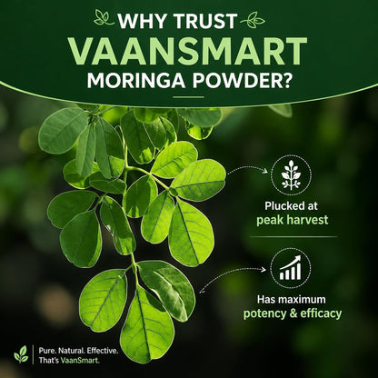 Organic Moringa Oleifera Leaf Powder | Rich in Antioxidants & Immune Vitamins | Pure Leaves Without Stems | Great Superfoods for Tea or Drink | India Grown, Vegan (200 gm)