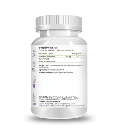 Natures Velvet Lifecare Punarnava Pure extract 500 mg 60 Capsules pack- image 3