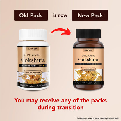 Sukham Gokshura/Tribulus Capsules | Processed using TTT-120 | 500 mg - 60 Capsules | Benefits include Better Strength, Stamina & Recovery | Ideal for Gym and Athletes