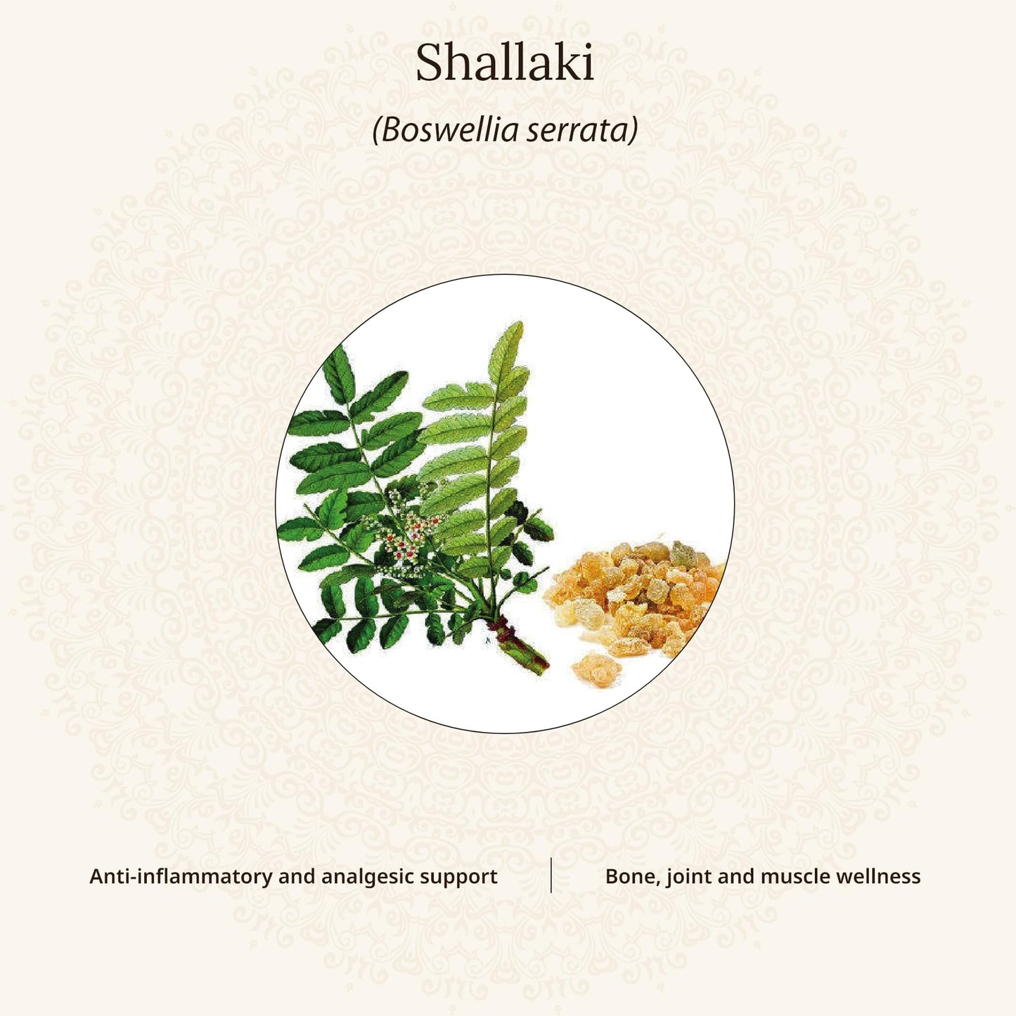 Amarantha Shallaki Tablet (30 Tablets)