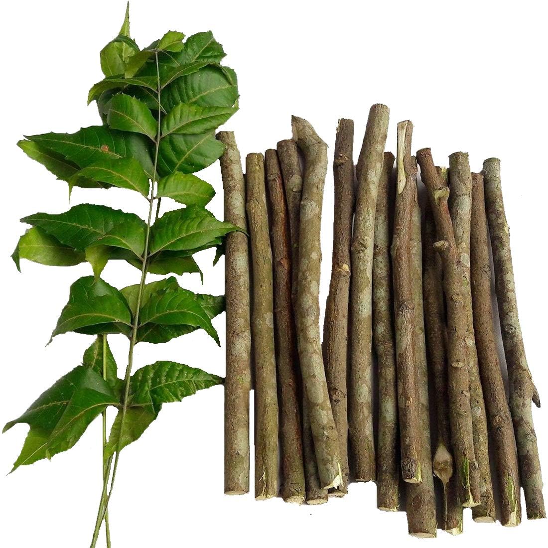 Haryans health care, Neem stick for teeth brush (pack of 20) pure ayurvedic natural and organic