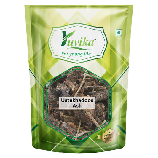 YUVIKA Ustekhadoos Asli - Uste Khadus - Lavandula Stoechas - Arabian Lavende (10