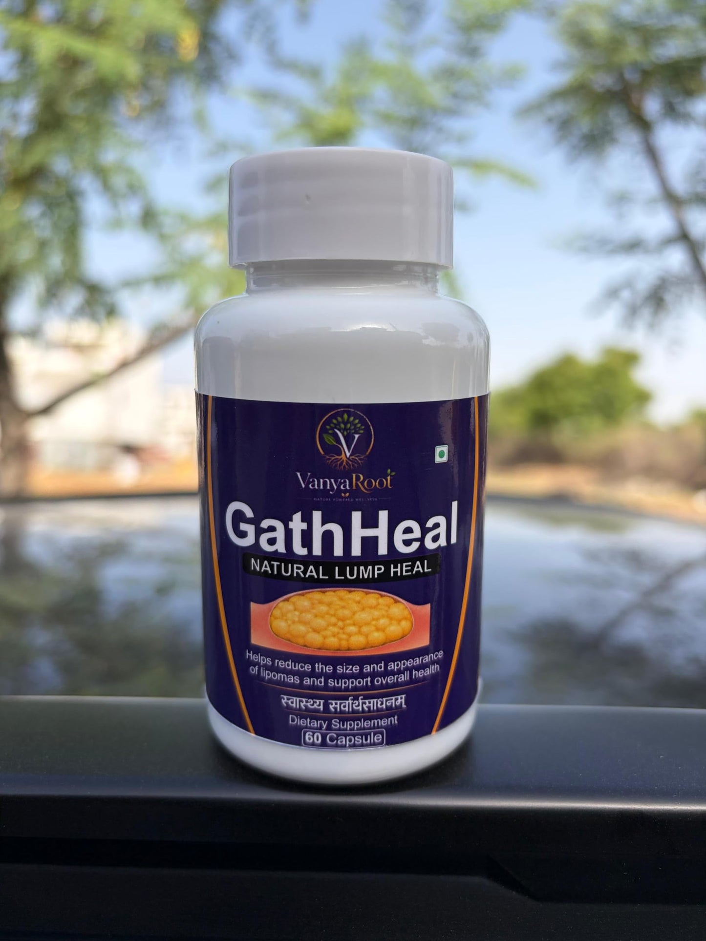 Vanya Root GathHeal Natural Lump Heal Supplement | Ayurvedic Herbal Wellness Formula for Overall Health Support | Premium Herbal Dietary Supplement | (Pack Of 60 Capsules)