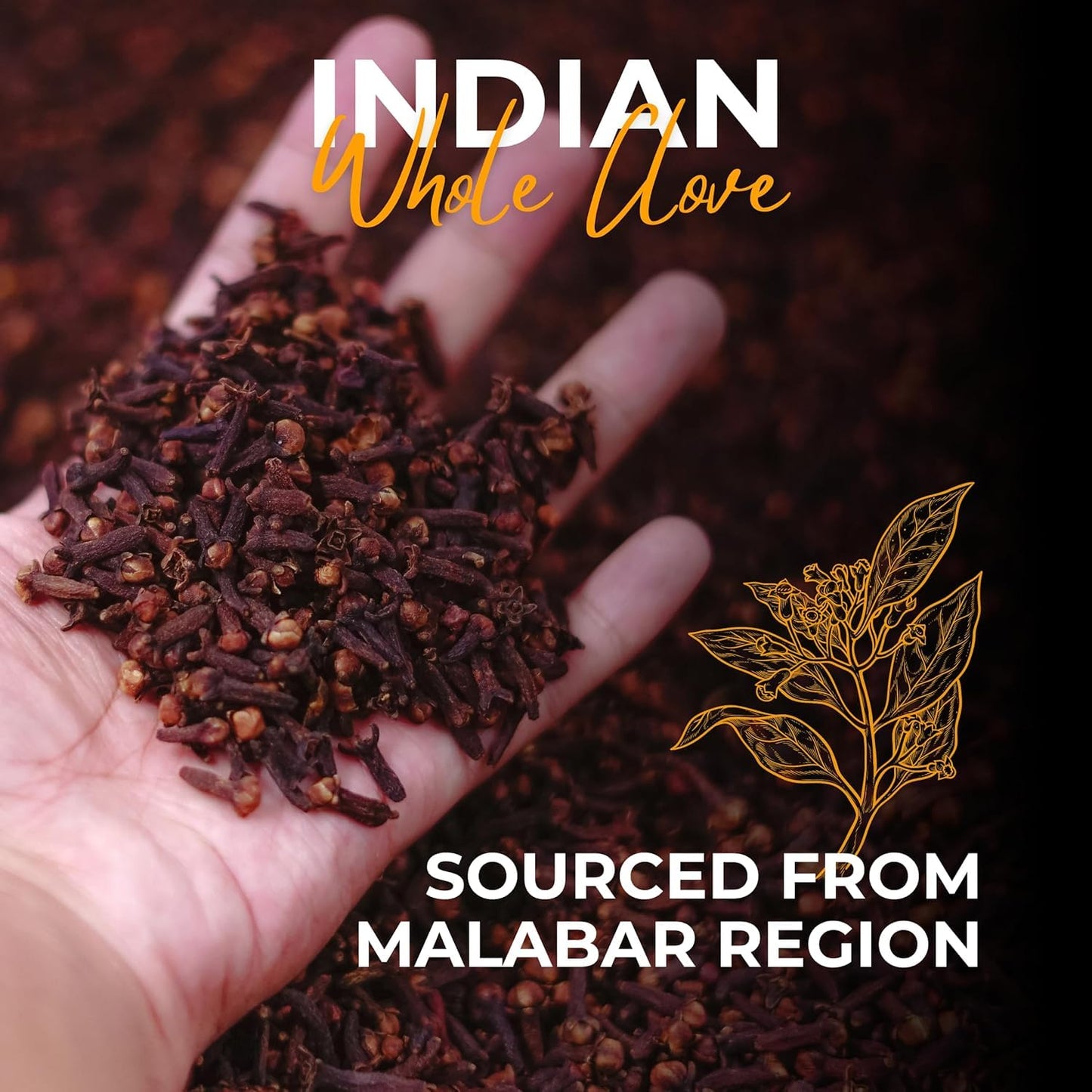 GOURMET HEALTH IMPRESSIONS Superior Grade Whole Clove (Laung) 50g - Rich Aroma, Handpicked, Non-GMO - Perfect for Flavorful Cooking & Aromatic Infusions | GHI Foods | GHI SPICES