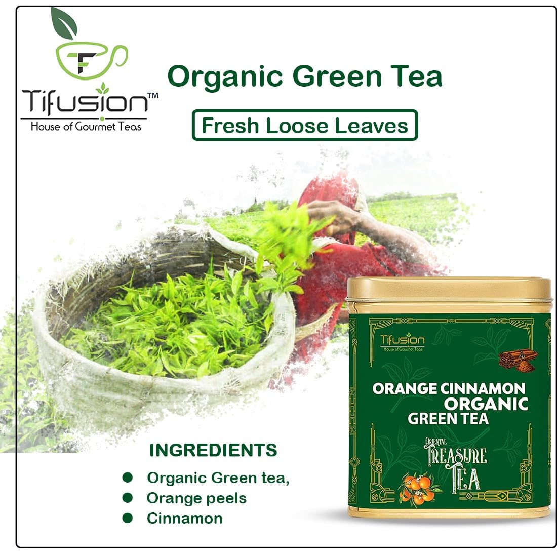 Tifusion Orange Cinnamon Organic Green Tea With Good Ingredient For Cholesterol Blood Pressure Rich in Antioxidant Vitamin C Best As Hot Drink Or Iced Cooler Garden Whole Leaf Darjeeling Tea (100 gm)