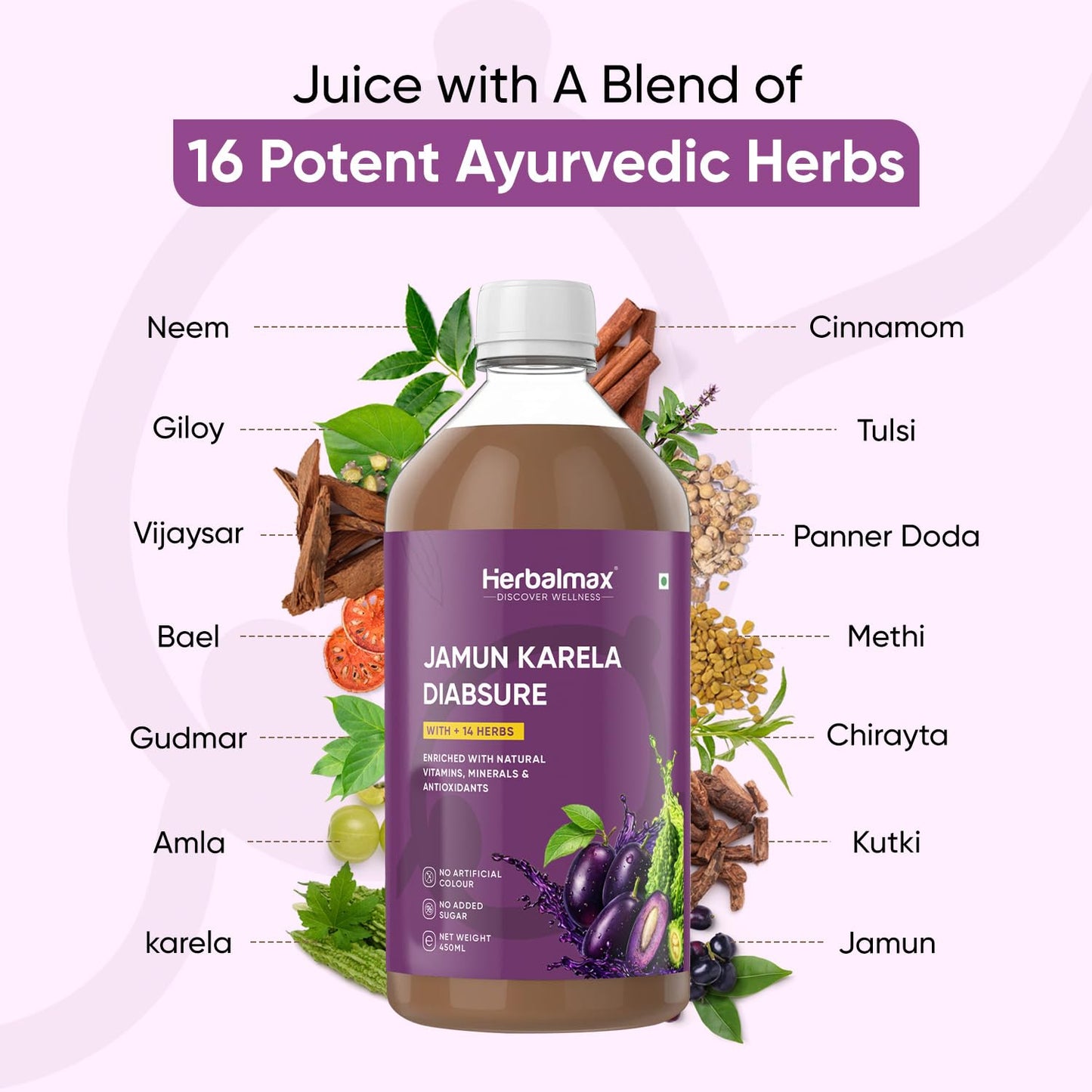 Herbal Max Diabetic Care Juice 450 ml | Herbal Blend with Karela, Jamun, Gudmar, Vijaysar & Amla | Jamun Karela Juice Supports Blood Sugar Management | Suitable for Diabetes & Prediabetes