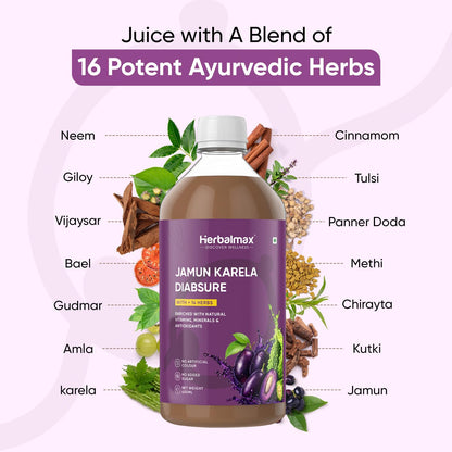 Herbal Max Diabetic Care Juice 450 ml | Herbal Blend with Karela, Jamun, Gudmar, Vijaysar & Amla | Jamun Karela Juice Supports Blood Sugar Management | Suitable for Diabetes & Prediabetes
