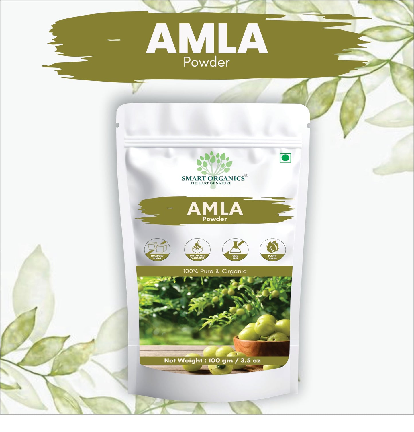 Smart Organics Amla Seedless Powder | Pure and Natural Indian Gooseberry Powder | Rich in Vitamin C & Antioxidants No Additives | Supports Hair, Skin and Immunity (100g)