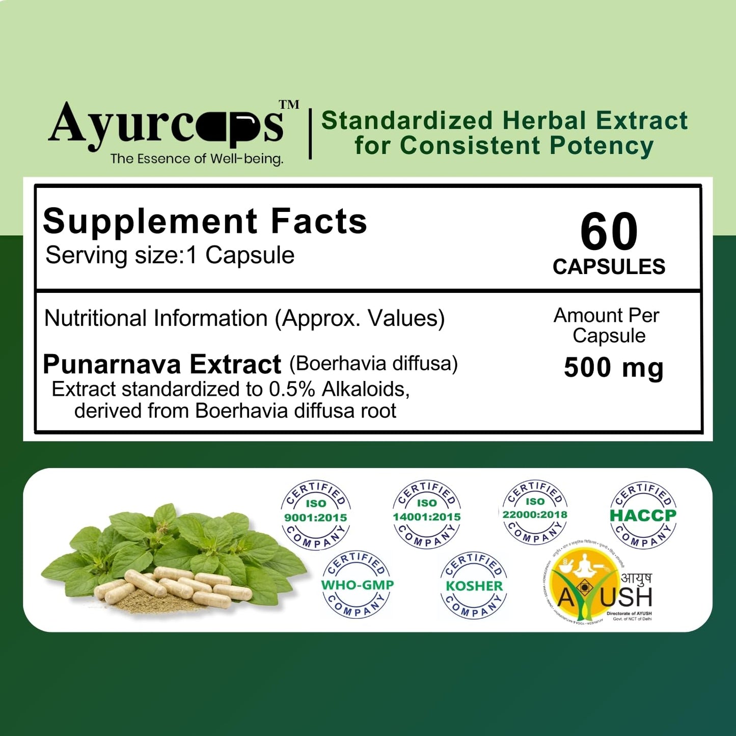 Ayurcaps Punarnava 500mg (60 Veg Capsules) | Ayurvedic Kidney And Liver Support Supplement | Helps Maintain Healthy Fluid Balance | Plant-based | No Added Preservatives (Pack of 1)