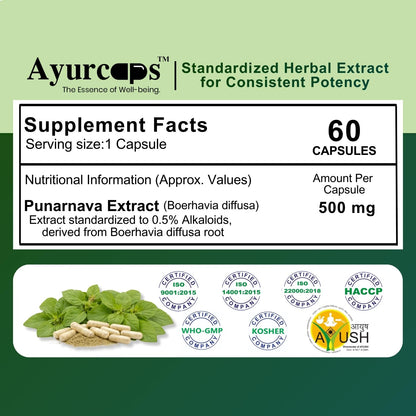 Ayurcaps Punarnava 500mg (60 Veg Capsules) | Ayurvedic Kidney And Liver Support Supplement | Helps Maintain Healthy Fluid Balance | Plant-based | No Added Preservatives (Pack of 1)