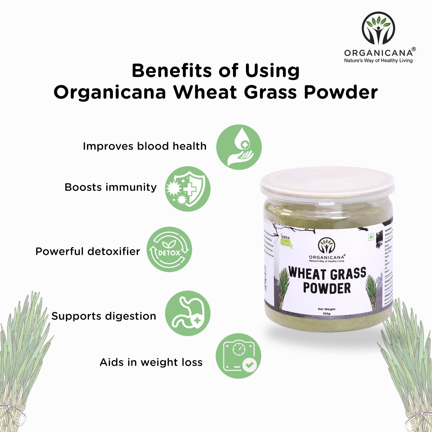 Organicana Organic Wheatgrass Powder - 100g (Pack of 1) Supports Immuni- image 5
