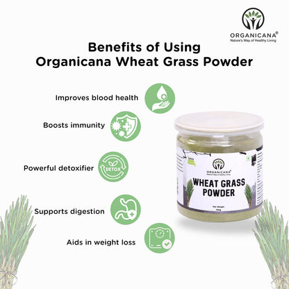 Organicana Organic Wheatgrass Powder - 100g (Pack of 1) Supports Immuni- image 5