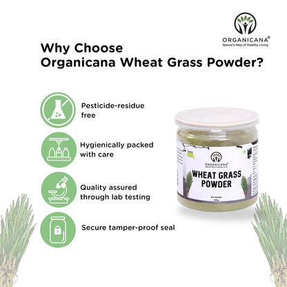 Organicana Organic Wheatgrass Powder - 100g (Pack of 1) Supports Immuni- image 6