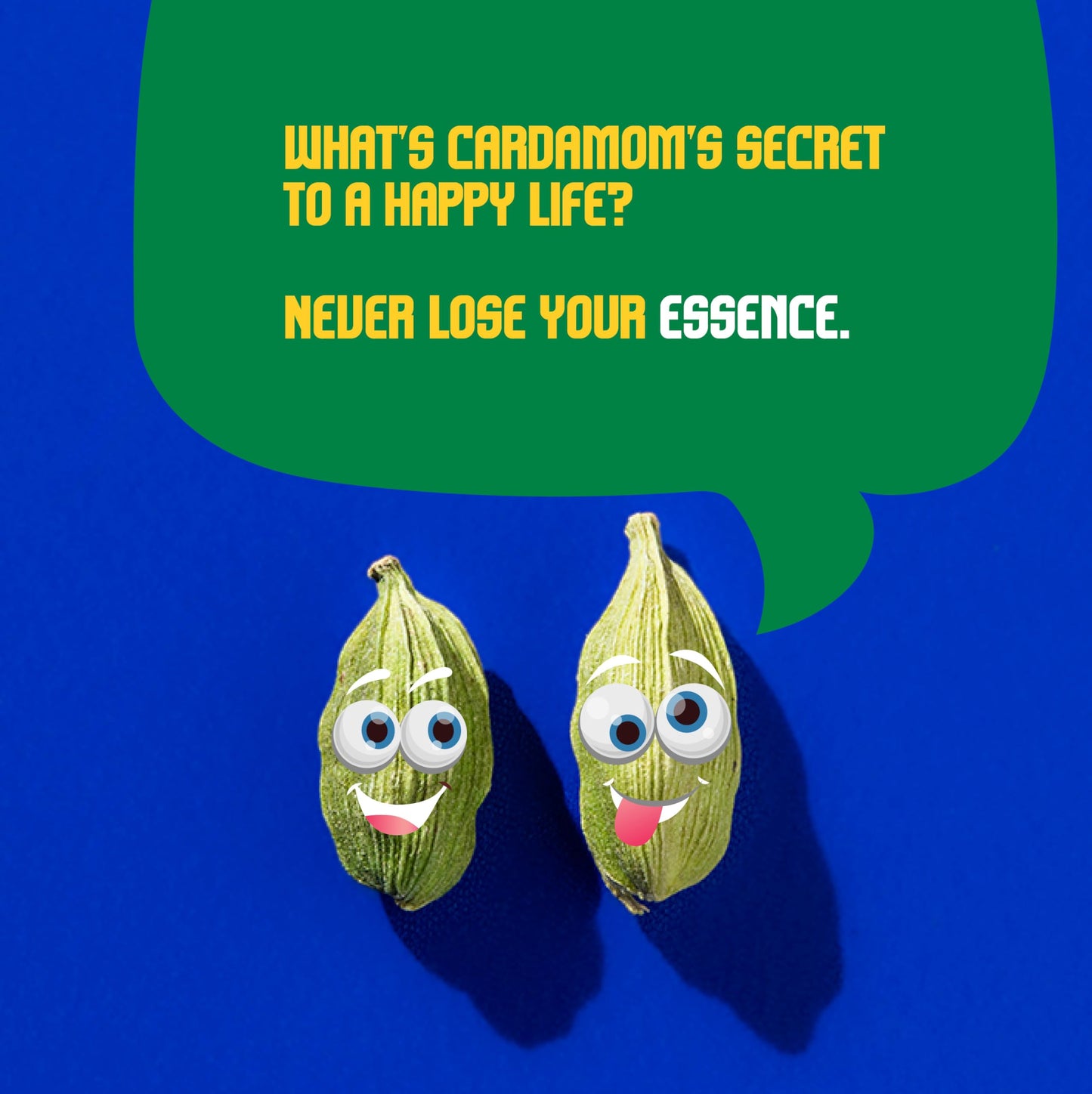 CRISTA 100gm Whole Green Cardamom | Elaichi | Elaichi Green | Choti Elaichi | Elaichi Tea | Cardamom 8mm