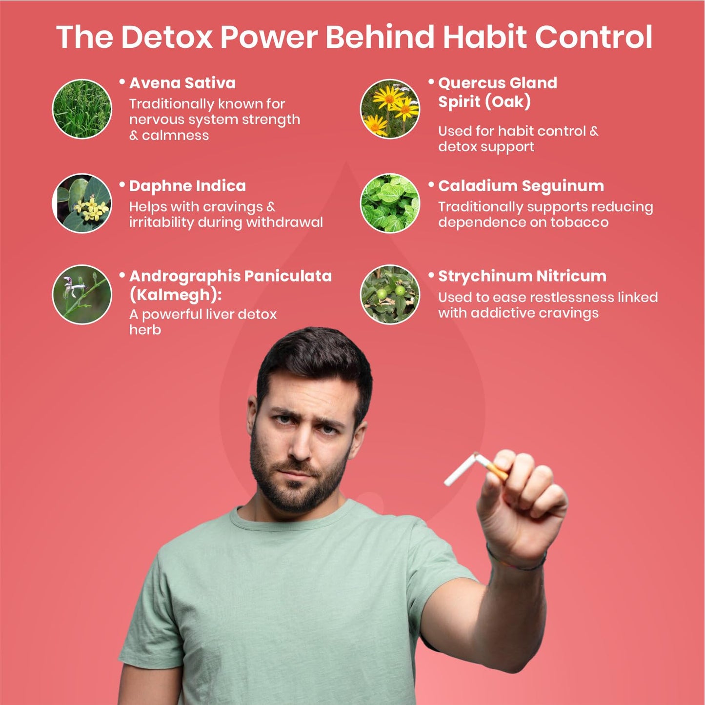 Adven D-Tox Drops | Herbal Formula Supporting Tobacco & Alcohol Withdrawal | With Avena Sativa, Kalmegh & Quercus Gland Spirit | D-tox Support | 2x30ml