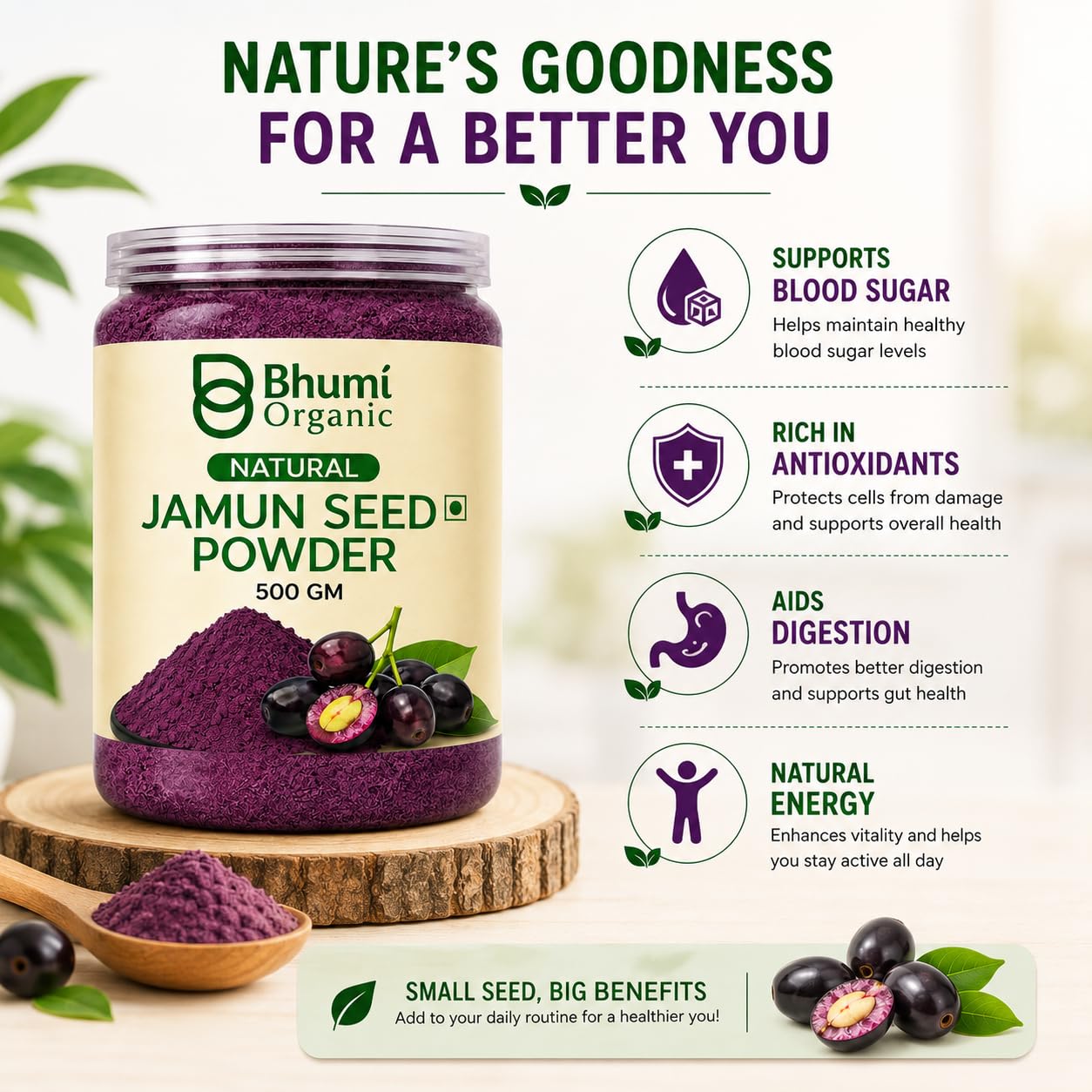 Bhumi Organic Ayurveda Jamun Seed Powder for Diabetes (500 gm) - Herbal Supplement