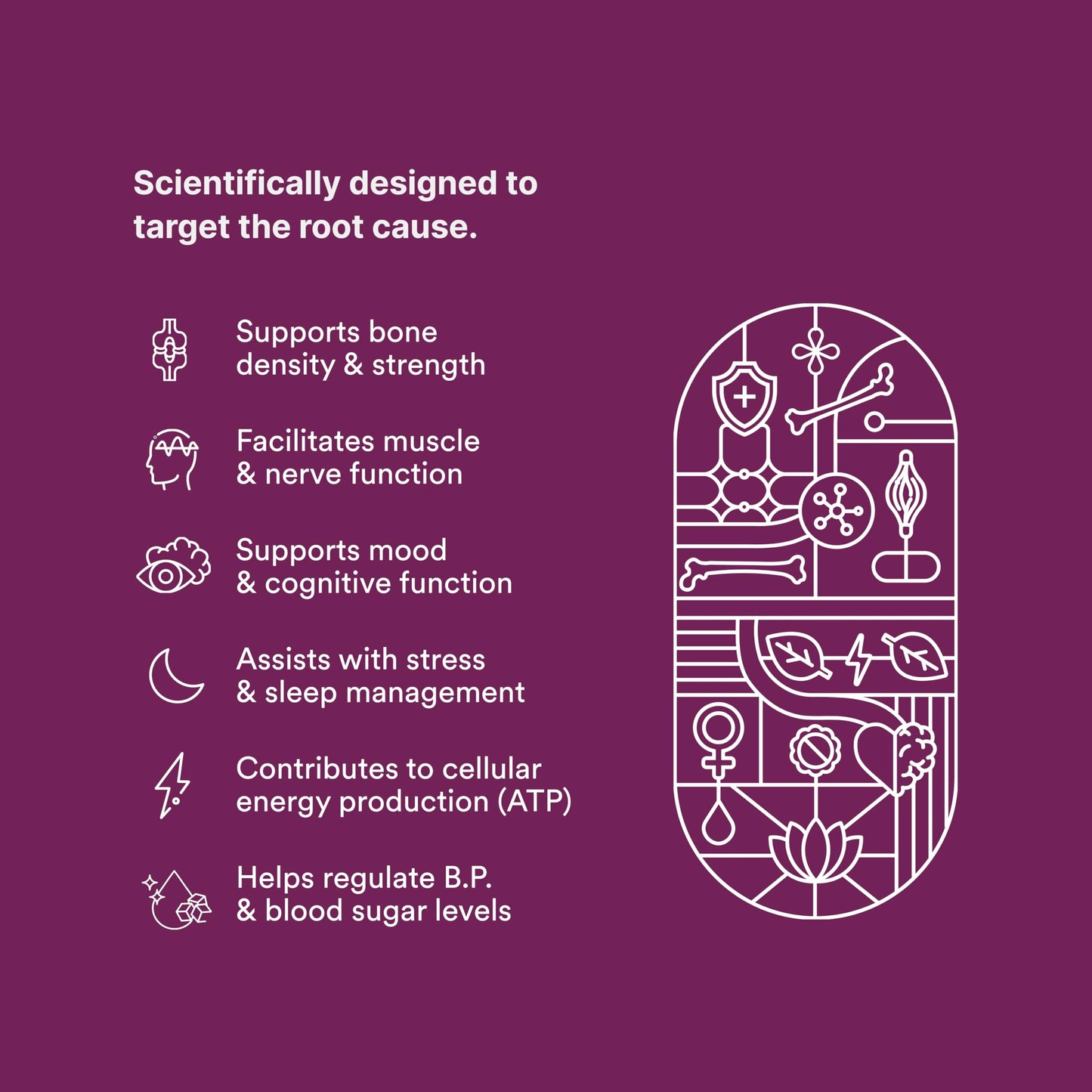 Origins Nutra Magnesium + D3 + K2-7 for Women | Supports Bone Health, Hormonal Balance, and Migraine Relief | Eases Leg Cramps | Five Magnesium Salts, Noval Vitamin K2-7, Vitashine D3 | GMP Certified | 56 Veg Capsules