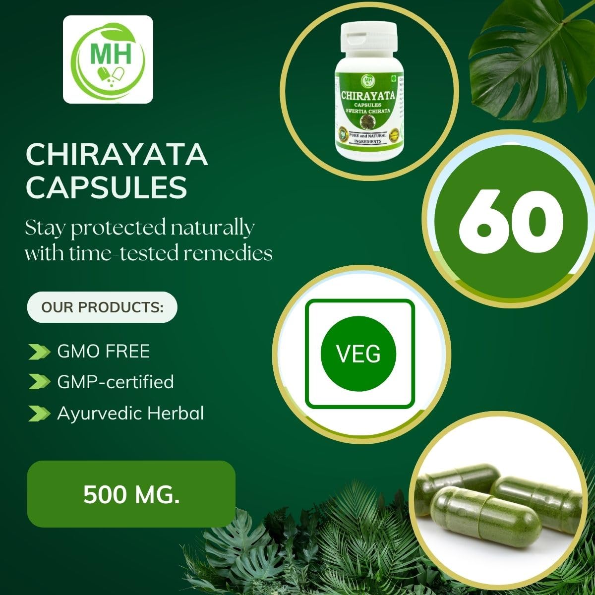 MORSAN HEALTHCARE Chirata herb capsules 500 mg – 60 Veg Capsules x 4 Pack | Swertia Chirata Extract | Herbal Supplement | Gluten-Free & Vegan-Friendly