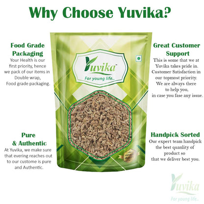 YUVIKA Anesu Asli - Saunf Rome - Foeniculum Vulgare - fennel Fruit (200- image 4