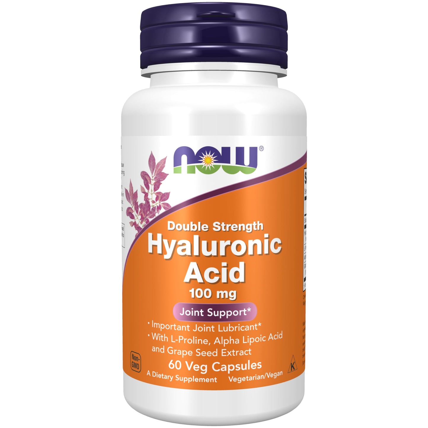 Now Foods Hyaluronic Acid 100Mg - 60 Veg Capsules