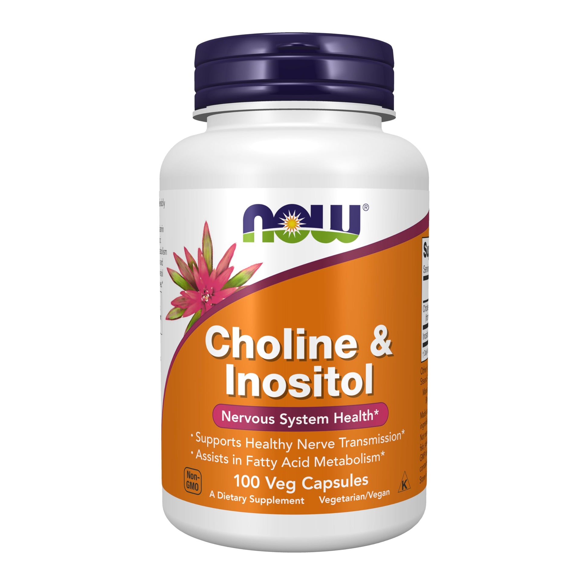 Now Foods, Choline & Inositol, 500 mg, 100 Capsules