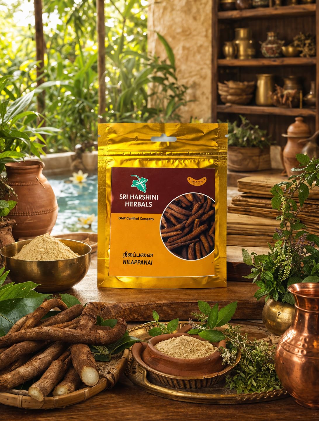 SRI HARSHINI HERBALS Nilappanai Kilangu Podi 50g | Herbal Supplement for Body Cooling and Vitality Support | General Wellness Strength and Reproductive Health Balance | Natural Herbal Root Formula for Energy and Health Care