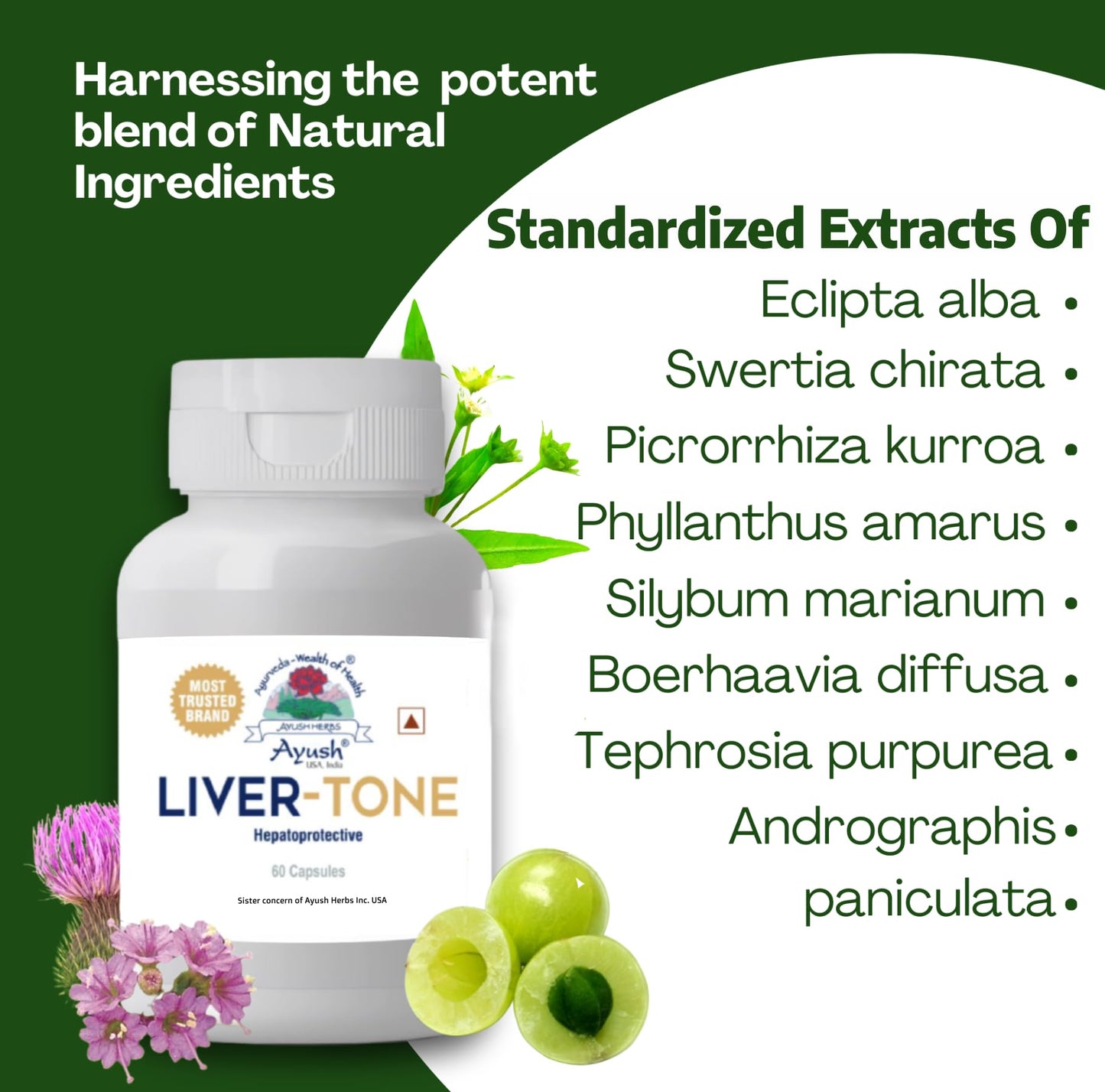 Ayush Herbs Livertone 1 * 60 Caps Brown